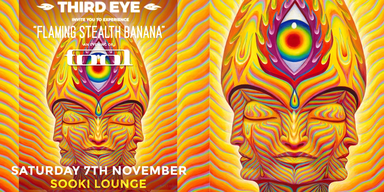 Third Eye: Flaming Stealth Banana, an Evening of TOOL