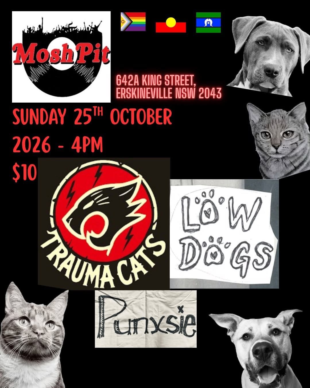 Trauma Cats + Low Dogs + Punxsie (Operation Ibis)